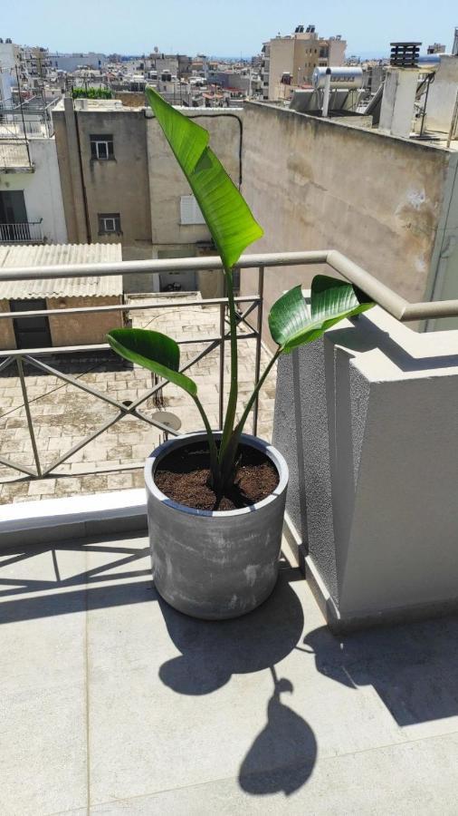 My Home In Greece Athens Exterior photo