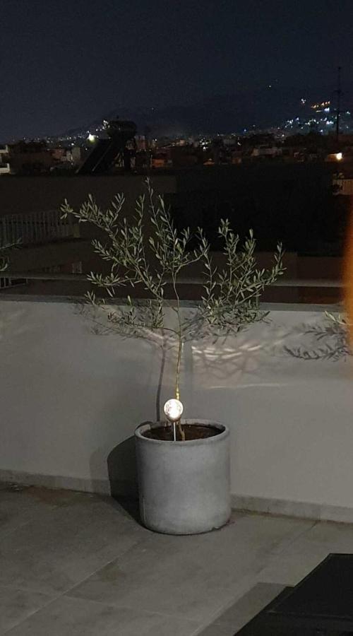 My Home In Greece Athens Exterior photo
